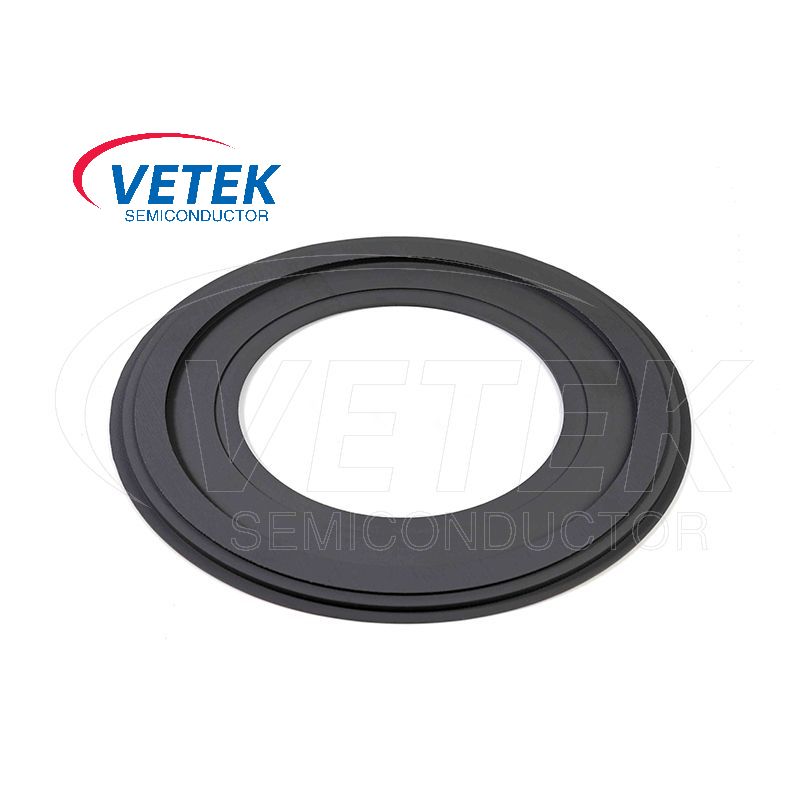EPI Wafer Holder