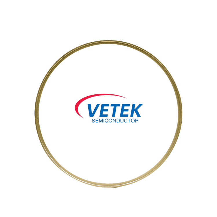 TaC-belagd grafitrån täckring